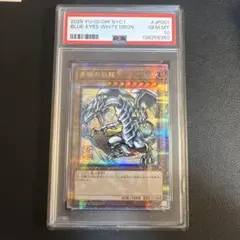 2026年最新】ブルーアイズホワイトドラゴン psa10の人気アイテム