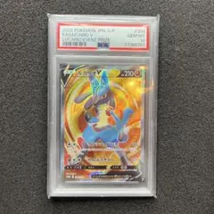 2026年最新】ルカリオv psa10の人気アイテム - メルカリ