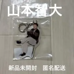 2026年最新】山本智大の人気アイテム - メルカリ
