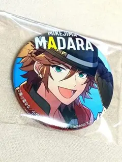 2026年最新】三毛縞斑缶バッジの人気アイテム - メルカリ