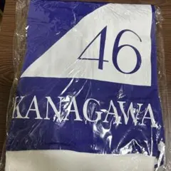 2026年最新】乃木坂ジャージxlの人気アイテム - メルカリ