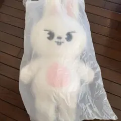 リービット テディベア SKZOO Leebit leeknow - メルカリ