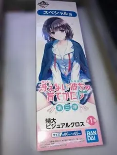 2026年最新】冴えカノ 等身大パネルの人気アイテム - メルカリ