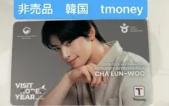 2026年最新】t-money チャウヌの人気アイテム - メルカリ