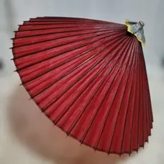 2026年最新】羽二重傘の人気アイテム - メルカリ