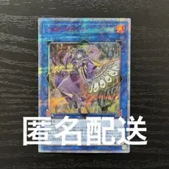 2026年最新】20th 龍仙女の人気アイテム - メルカリ