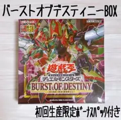 2026年最新】BURST OF DESTINYの人気アイテム - メルカリ