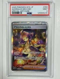 2026年最新】アセロラ psa10の人気アイテム - メルカリ