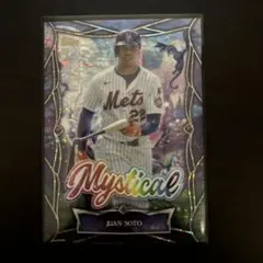 2026年最新】juan sotoの人気アイテム - メルカリ