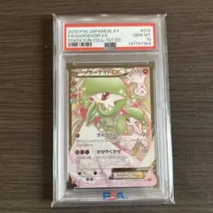 2026年最新】ポケキュン psa10 サーナイトの人気アイテム - メルカリ