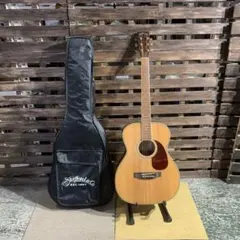 2026年最新】ギター Stafford SF250Fの人気アイテム - メルカリ