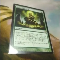 2026年最新】緑の太陽の頂点の人気アイテム - メルカリ