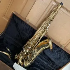 2026年最新】MINERVA サックス本体の人気アイテム - メルカリ