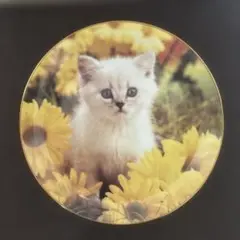 2026年最新】ダンバリーミントの人気アイテム - メルカリ