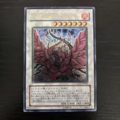 2026年最新】レリーフ ブラックローズドラゴンの人気アイテム - メルカリ