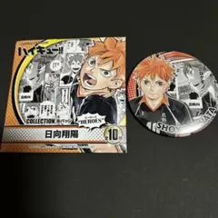 2026年最新】コレクション缶バッジ heroes 日向翔陽の人気アイテム