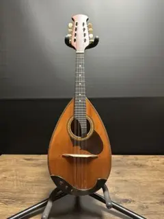 2026年最新】suzuki マンドリンの人気アイテム - メルカリ