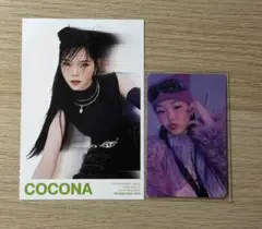 2026年最新】xg shooting star coconaの人気アイテム - メルカリ