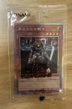 2026年最新】異次元の女戦士 シークレットの人気アイテム - メルカリ