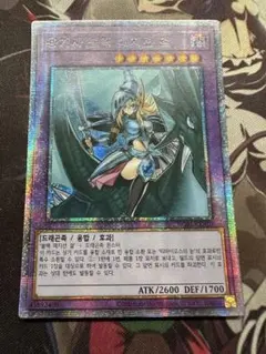 2026年最新】竜騎士ブラックマジシャンガール アジアの人気アイテム