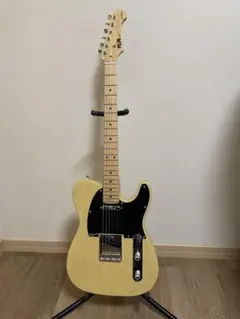 2026年最新】テレキャスター フジゲンの人気アイテム - メルカリ