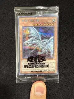 2026年最新】ブルーアイズオルタナティブホワイトドラゴン シクの人気