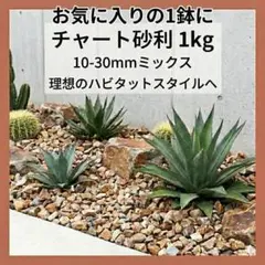 2026年最新】ドライガーデンの人気アイテム - メルカリ