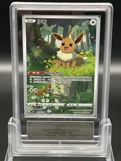 2026年最新】ポケモンカード 中国 イーブイの人気アイテム - メルカリ