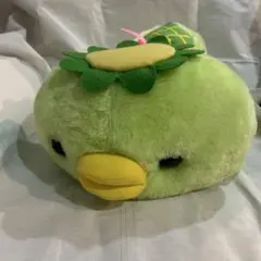 2026年最新】カッパの飼い方ぬいぐるみの人気アイテム - メルカリ