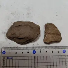 2026年最新】縄文土器の人気アイテム - メルカリ