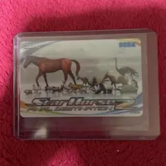 2026年最新】スターホース2 カードの人気アイテム - メルカリ