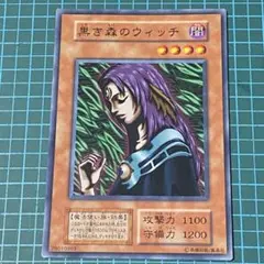 2026年最新】黒き森のウィッチの人気アイテム - メルカリ