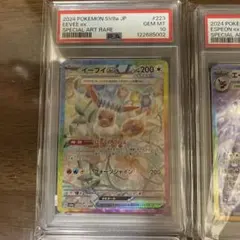 2026年最新】テラスタルフェス イーブイ 連番の人気アイテム - メルカリ