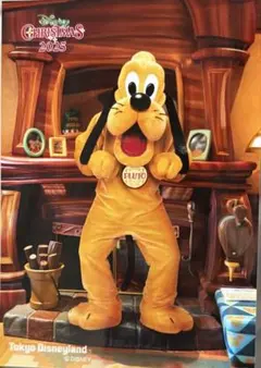 2026年最新】プルート ディズニー クリスマスの人気アイテム - メルカリ