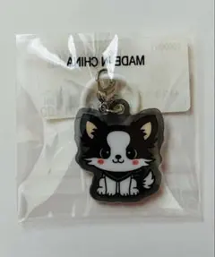 2026年最新】登坂広臣の人気アイテム - メルカリ