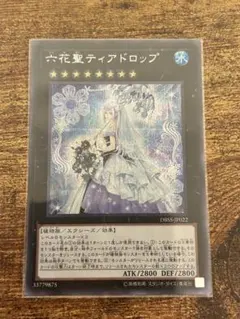 2026年最新】六花聖ティアドロップの人気アイテム - メルカリ