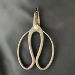 2026年最新】華道花鋏の人気アイテム - メルカリ