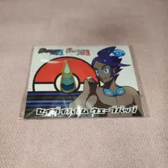 2026年最新】ポケモン ジムバッジコレクション ブラック2の人気