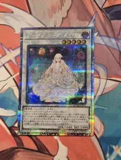 2026年最新】ガーデン・ローズ・メイデン 25thの人気アイテム - メルカリ