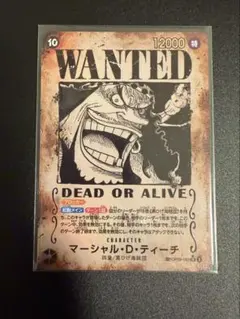 2026年最新】ワンピースカード 手配書 黒ひげの人気アイテム - メルカリ