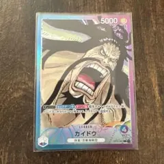 2026年最新】カイドウ パラレル リーダーの人気アイテム - メルカリ