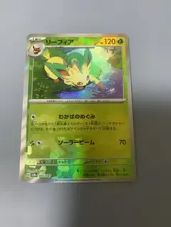 2026年最新】テラスタルフェス マスターボール リーフィアの人気