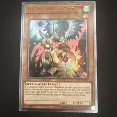 2026年最新】ドロール＆ロックバード 英語の人気アイテム - メルカリ