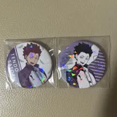 2026年最新】天童覚缶バッジの人気アイテム - メルカリ