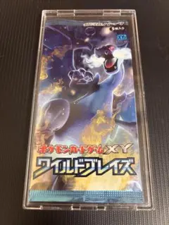 2026年最新】ワイルドブレイズ 未開封boxの人気アイテム - メルカリ