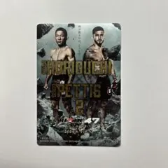 2026年最新】堀口恭司 カードの人気アイテム - メルカリ