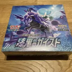 2026年最新】漆黒のガイスト box 未開封 シュリンクなしの人気アイテム