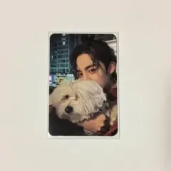 2026年最新】エスクプス クマ トレカの人気アイテム - メルカリ