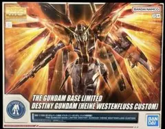2026年最新】MG ハイネ専用デスティニーガンダムの人気アイテム - メルカリ