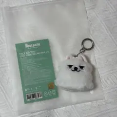 2026年最新】TXT プルバトゥ キーリングの人気アイテム - メルカリ
